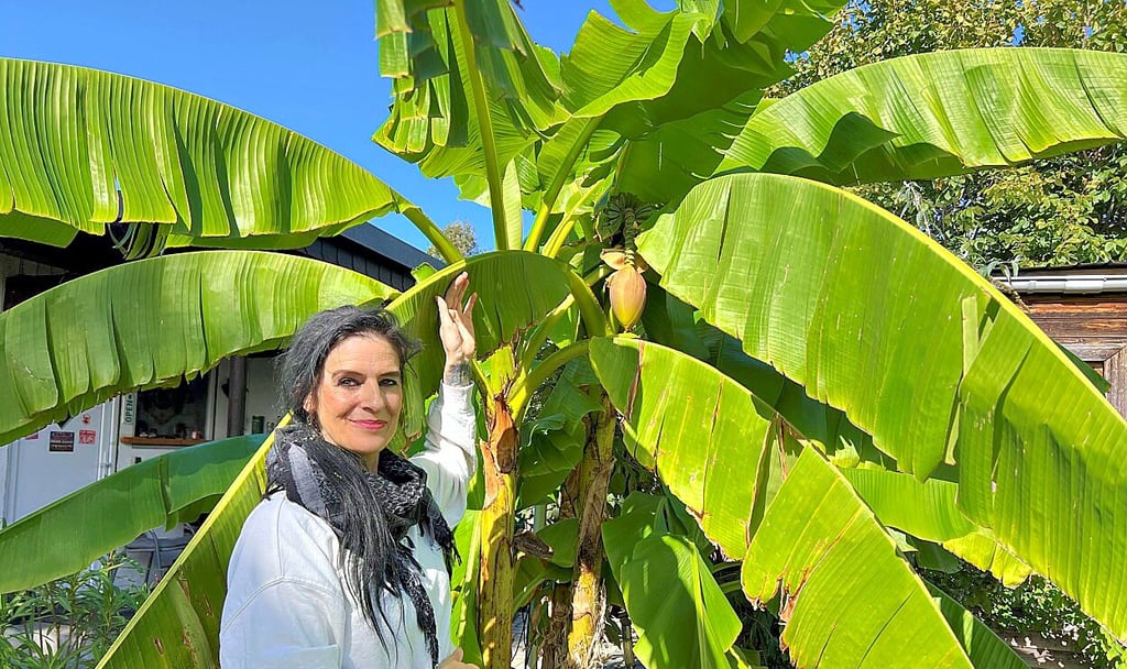 Mandy Reimann zeigt stolz ihre Bananenpflanze, die ihren heimischen Garten ziert.