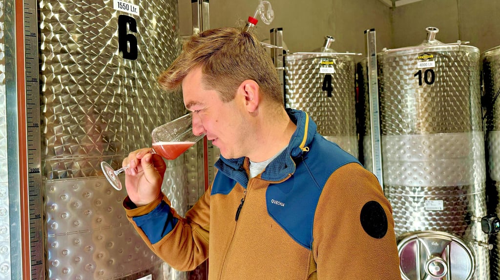 Noch sieht es wie ein Federweißer aus. Johannes Zwicker überprüft Geschmack und Geruch des künftigen Rosés.