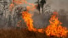 Das Feuer richtet Verwüstung in der gesamten Region an.