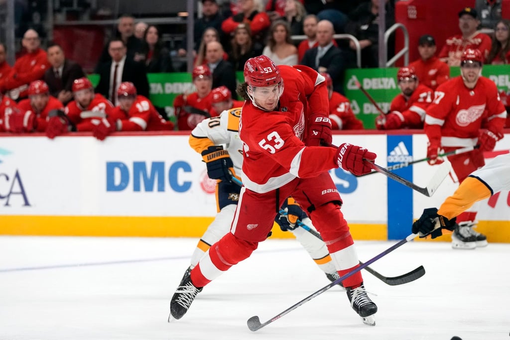 Nationalspieler Moritz Seider gehört zu den Top-Stars in der NHL.
