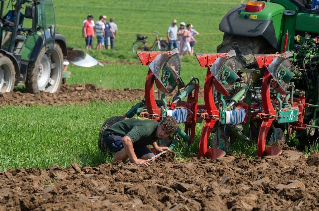 Fast die Hälfte aller Beschäftigten in der sächsischen Landwirtschaft sind Familienarbeitskräfte. (Symbolbild)