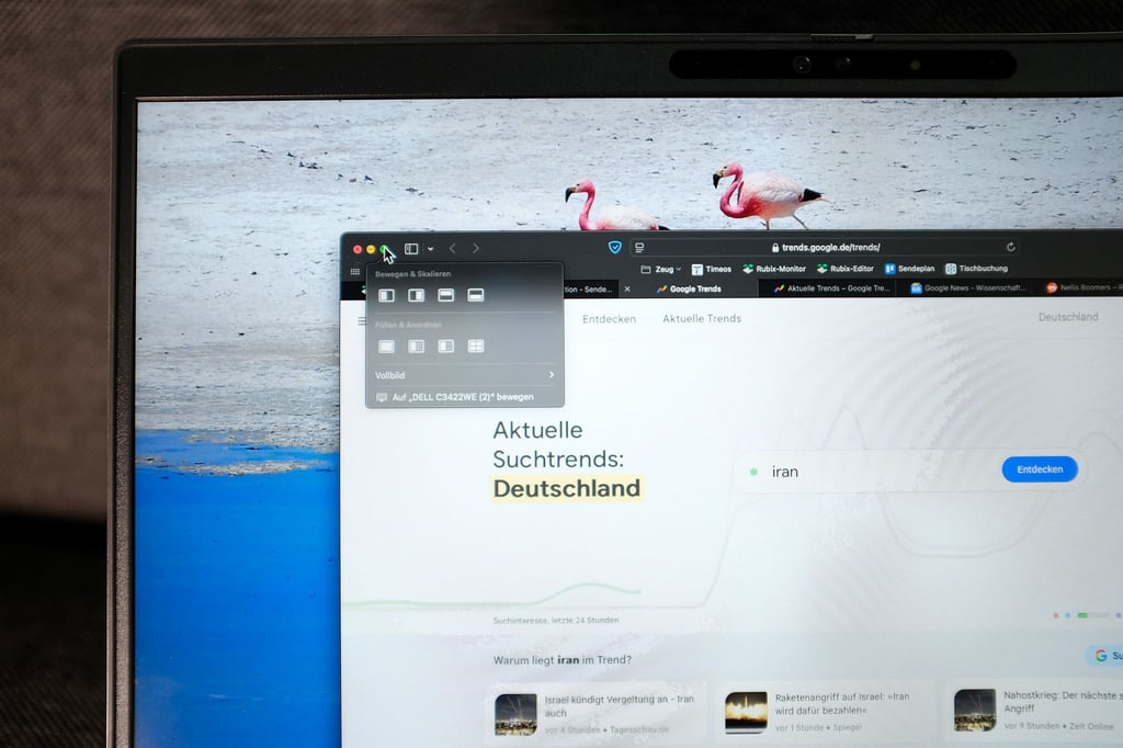 Schwebt die Maus über dem grünen Knopf, öffnen sich die Optionen: Mit macOS 15 (Sequoia) wird das Arrangieren von Fenstern auf dem Mac deutlich einfacher.
