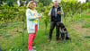 Anke und Andreas Tränkel öffnen auf dem Röglitzer Weinberg eine Flasche „Rogalici“, Jahrgang 2023.  