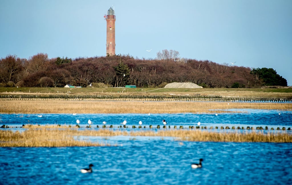 Für die Anbindung der Offshore-Windparks unterqueren Stromkabel die Insel Norderney. (Archivbild)