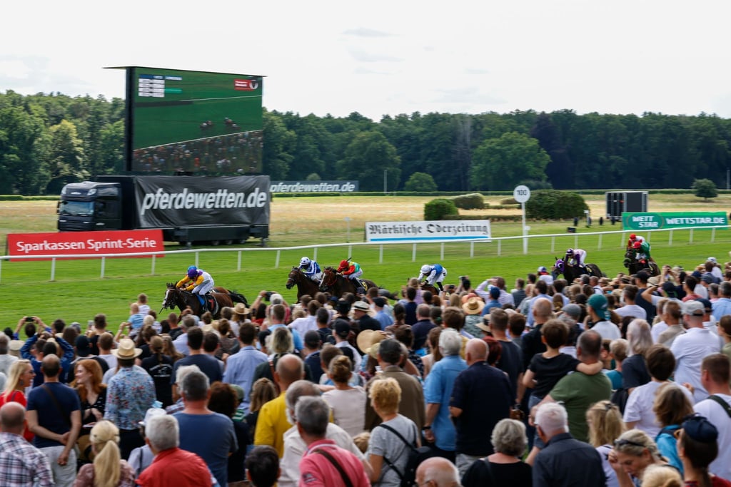 Der 34. Preis der Deutschen Einheit gehört zu den Saison-Highlights auf der Rennbahn Hoppegarten.