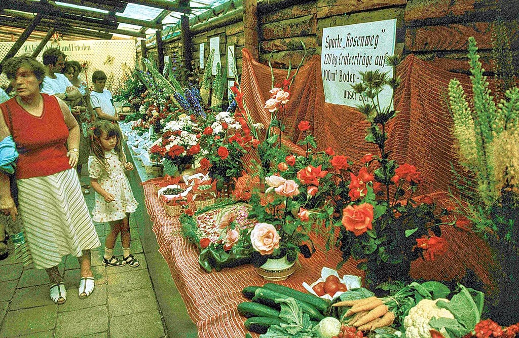 Zum Blumenfest gehörte, wie hier im Jahr 1985, auch eine Leistungsschau der landwirtschaftlichen Betriebe und Kleingärtner.