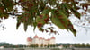 Herbst am Schloss Moritzburg nahe Dresden.