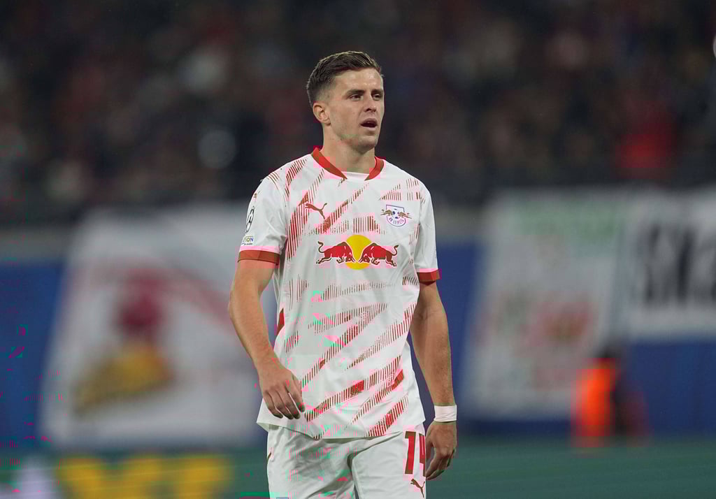 Baumgartner kann wieder spielen.