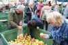 Gefragte Ware: Äpfel wurden auf dem Blumen- und Bauernmarkt in großen Mengen gekauft. 