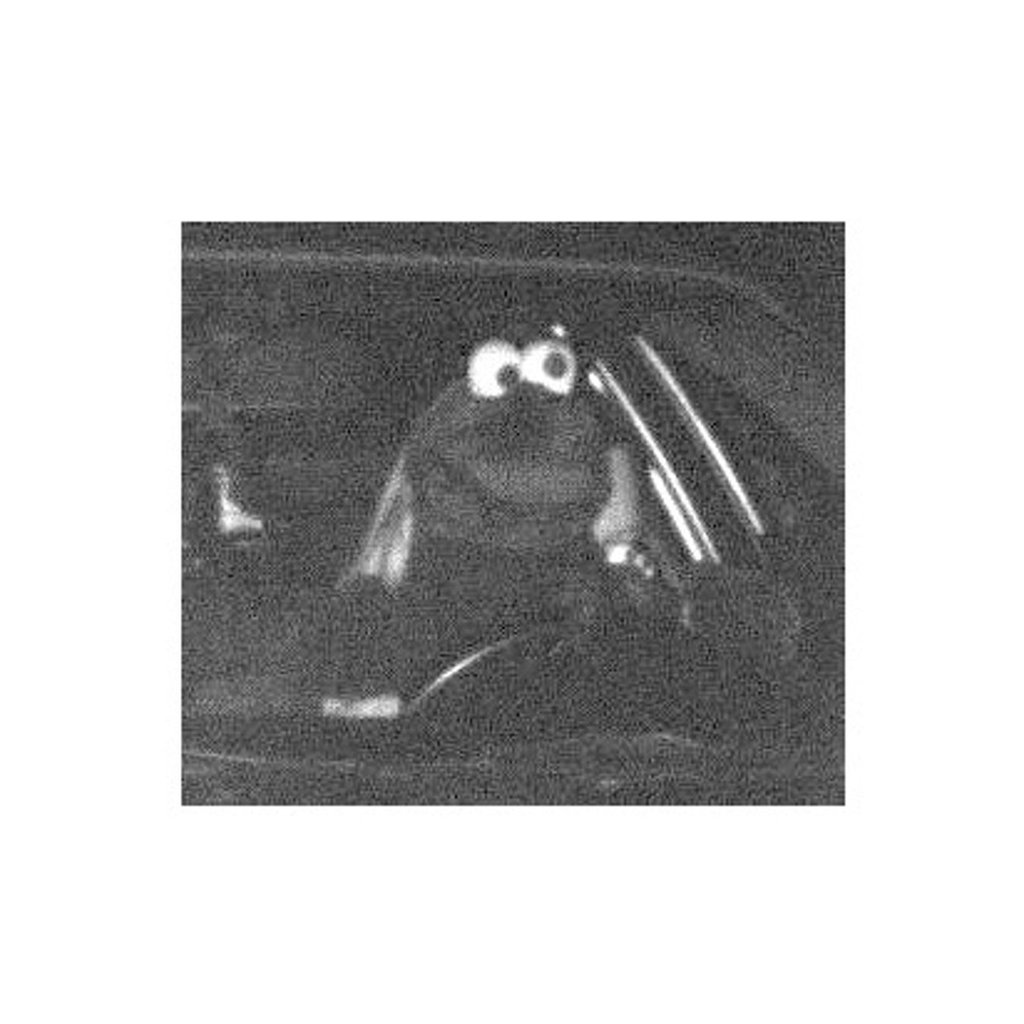 KrümelmonsterRaser zahlt Rechnung für BlitzerFoto Wer saß wirklich