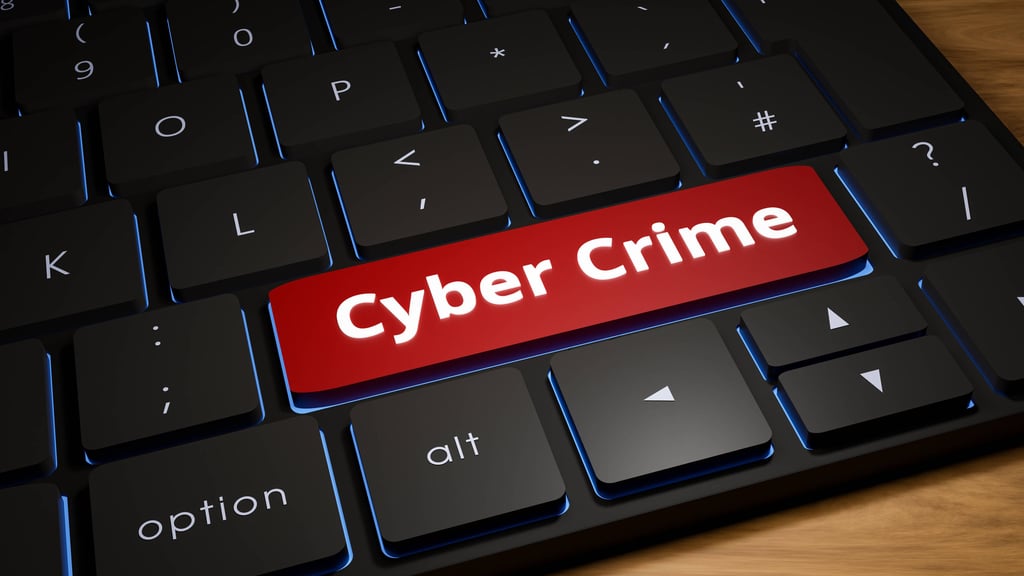 Cyber Crime