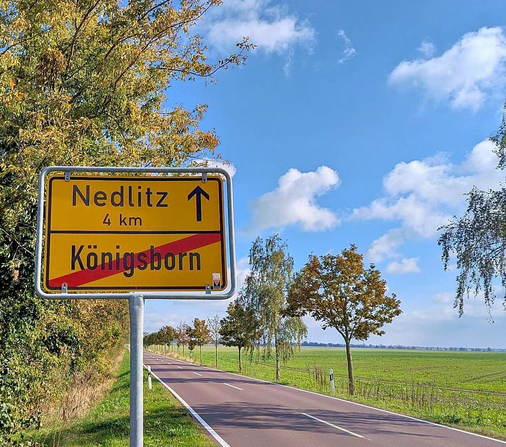 Ein neuer Radweg an der Straße nach Nedlitz?