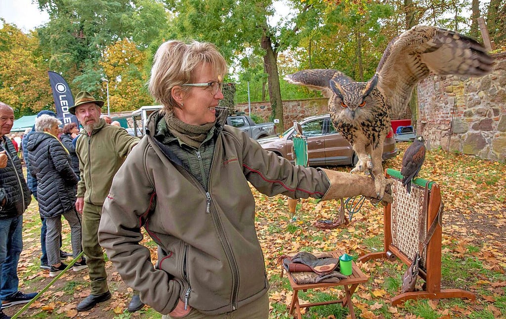 Falknerin Anja Gäbler nähert sich Uhu Hugo nur mit Handschuhen.