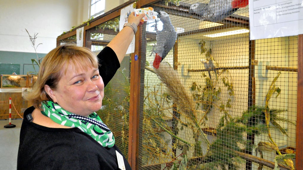 Züchterin Katrin Kötke bei der Vogelschau in Salzwedel mit einem ihrer Kongograupapageien.