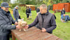 Ralph Weber (l.) mit seiner Karo der Rasse Bolonka Zwetna. Die Hündin trainiert hier das Überqueren einer Laufbrücke. Trainer  Martin  Laqua gibt Hilfestellung. 