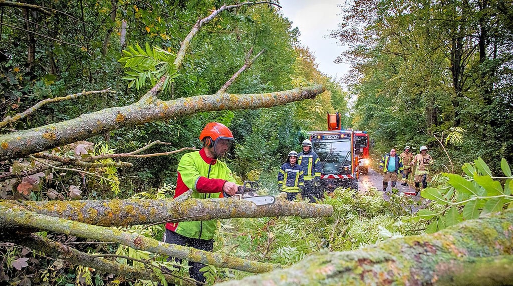 Ein umgestürzter Baum blockiert die Neidschützer Straße in Naumburg und wird von Feuerwehr und Bauhof beseitigt.