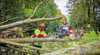 Ein umgestürzter Baum  blockiert die Neidschützer Straße in Naumburg und wird von Feuerwehr und Bauhof beseitigt.