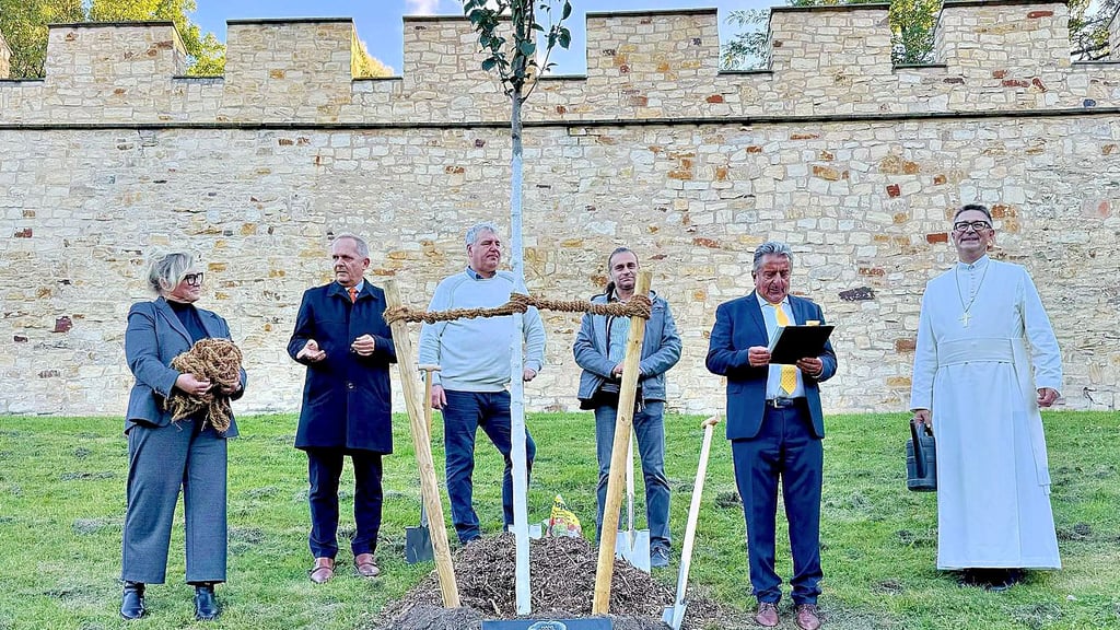 Haben gemeinsam die Ulme im Kloster Strahov in Prag gepflanzt: Kathrin Tarricone, Botschafter Andreas Künne, Guido Heuer, Marcus Bursian, Gunnar Schellenberger und Abt Daniel Janáček (von links).