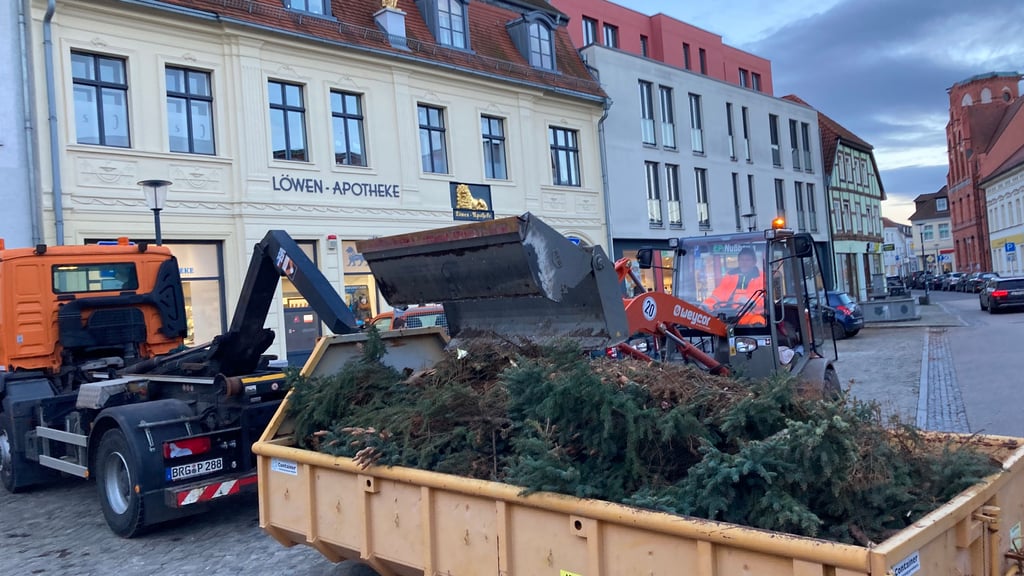 Mitarbeiter der Kommune transportieren in Burg den Weihnachtsbaum ab.