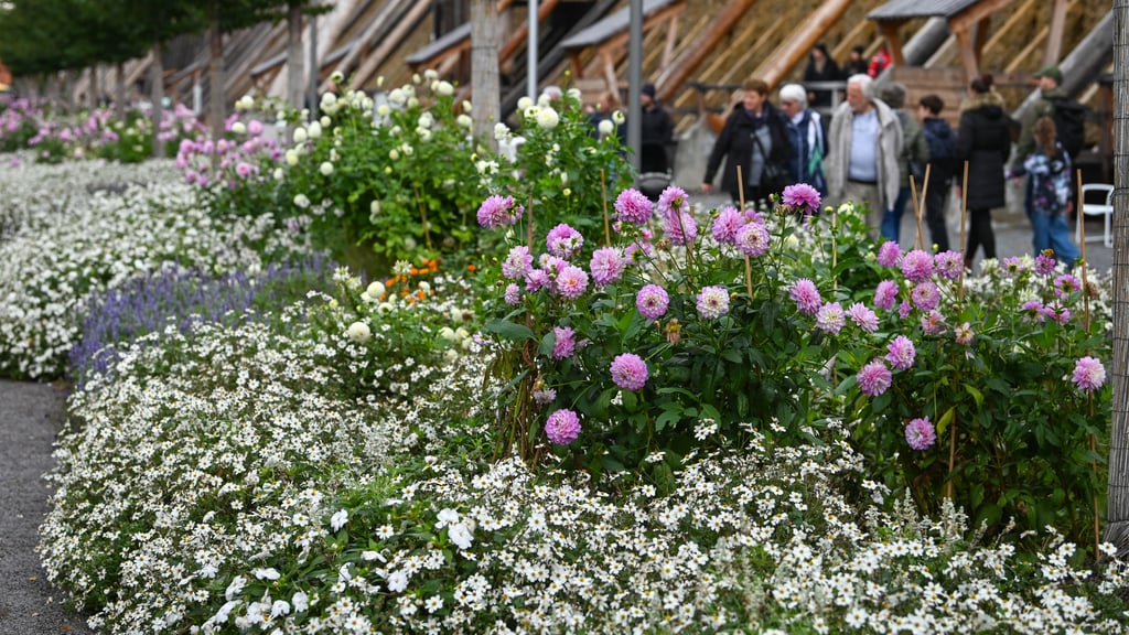 Am Montag war's das mit der 5. Landesgartenschau Sachsen-Anhalts. Viele Beete werden bald in Rasenflächen umgewandelt.