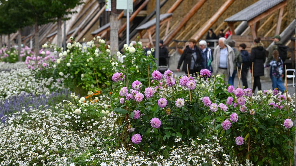 Am Montag war's das mit der 5. Landesgartenschau Sachsen-Anhalts. Viele Beete werden bald in Rasenflächen umgewandelt.