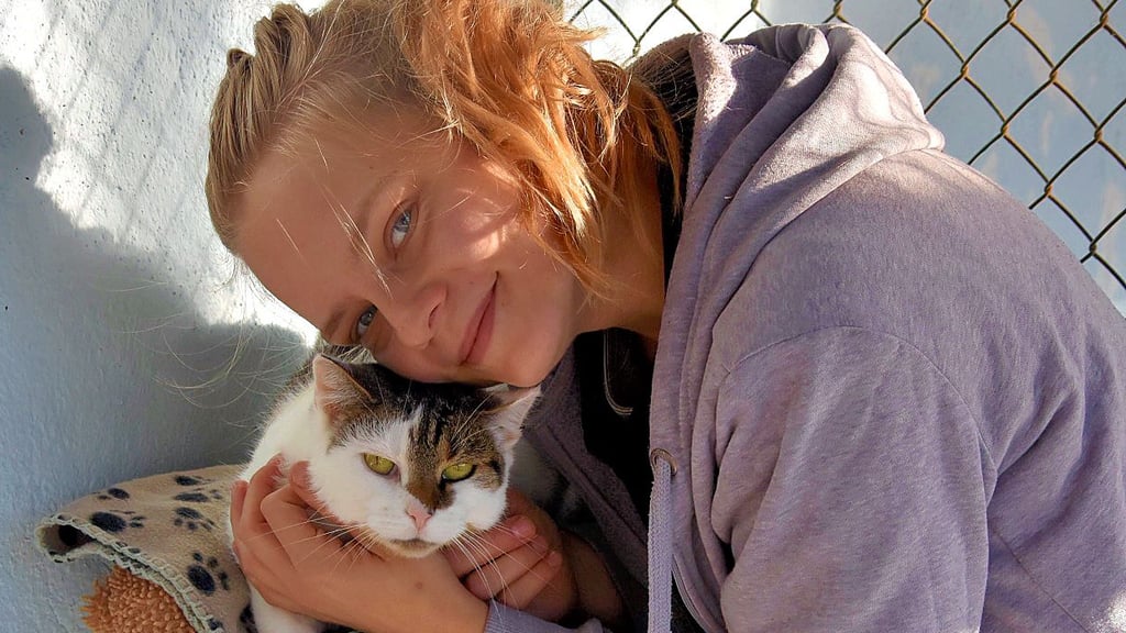 Tierpflegerin Anna Jonas vom Tierheim Satuelle nimmt sich kurz Zeit, um mit einer Katze zu schmusen. Rund 100 Katzen warten dort auf neue Besitzer.