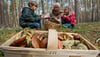 Eine Mutter sammelt mit ihren Kindern Pilze. Dank der Niederschläge wachsen diese in Sachsen-Anhalt nun kräftig. 