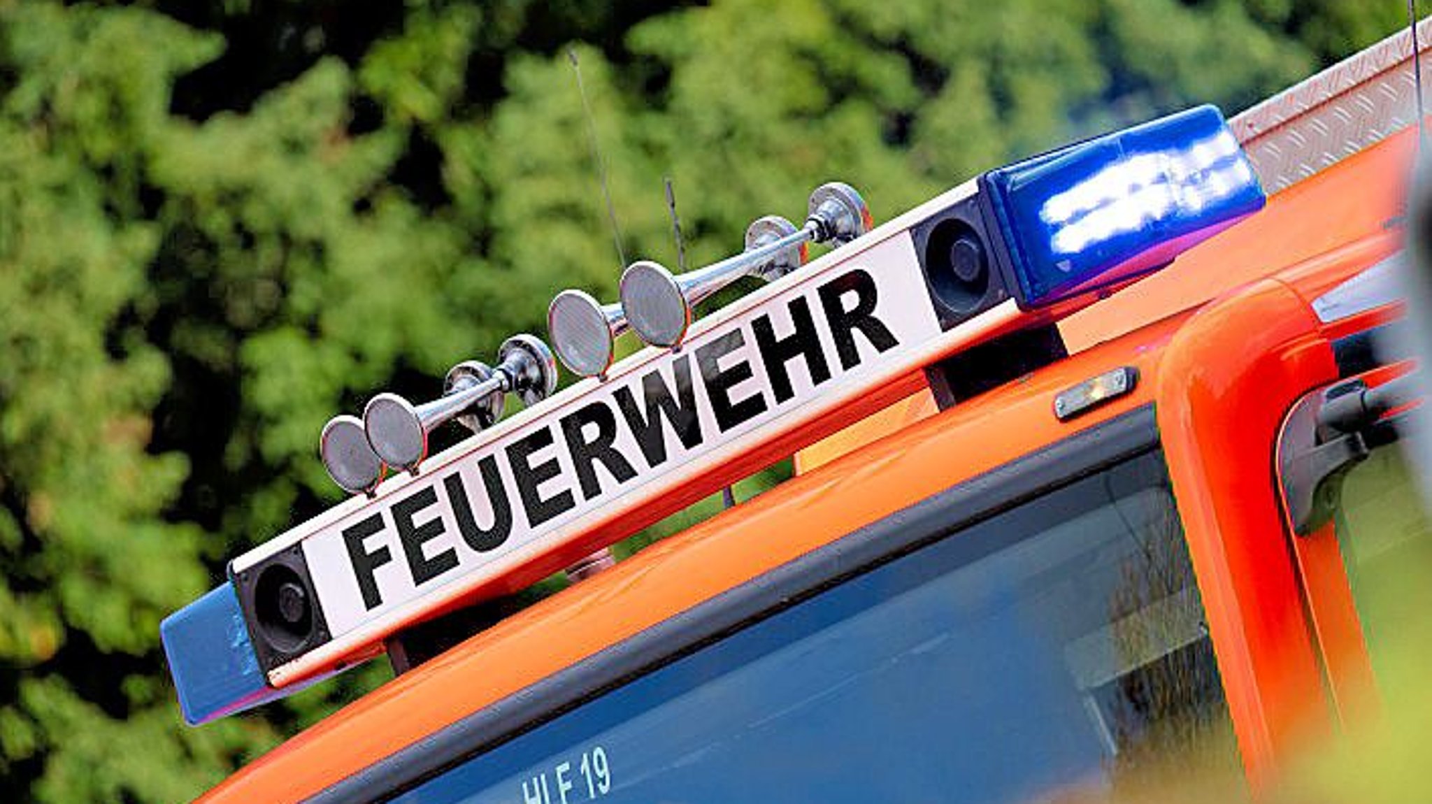 Sturm in SachsenAnhalt Unwetter zieht durch Kreis Wittenberg Hier