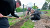 Nach der Aufforstung gegen Lärm an der Pestalozzischule soll nun in einem neuen Projekt Nachhaltigkeit künstlerisch aufgearbeitet werden.