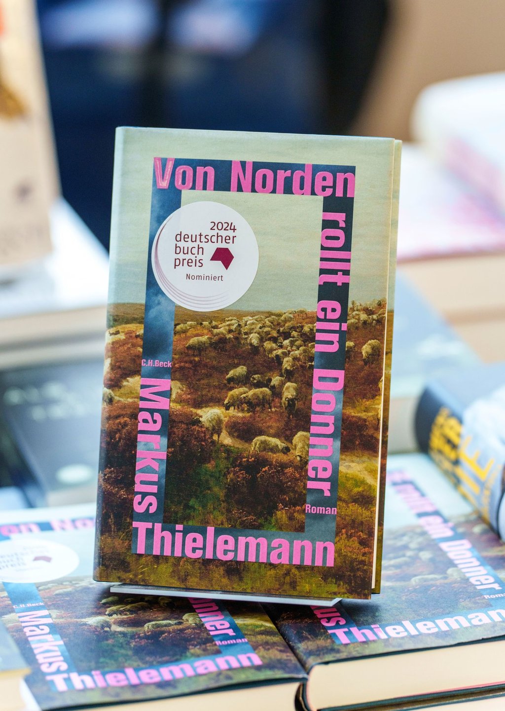 „Von Norden rollt ein Donner“ von Markus Thielemann ist für den Deutschen Buchpreis nominiert. (Archivbild)