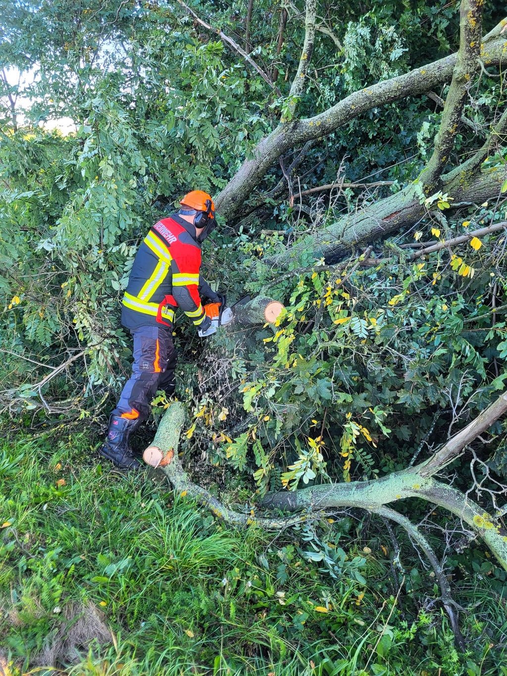 Mehrfach mussten die Einsatzkräfte der Zerbster Ortsfeuerwehren am Sonntagvormittag ausrücken.