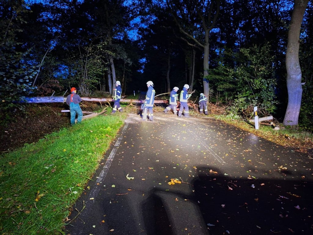 Rund um Zerbst blockierten umgestürzte Bäume Straßen.