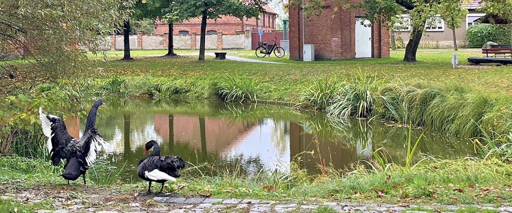 Tangerhütte Alter Teich in kleinem Dorf im Kreis Stendal wird jetzt