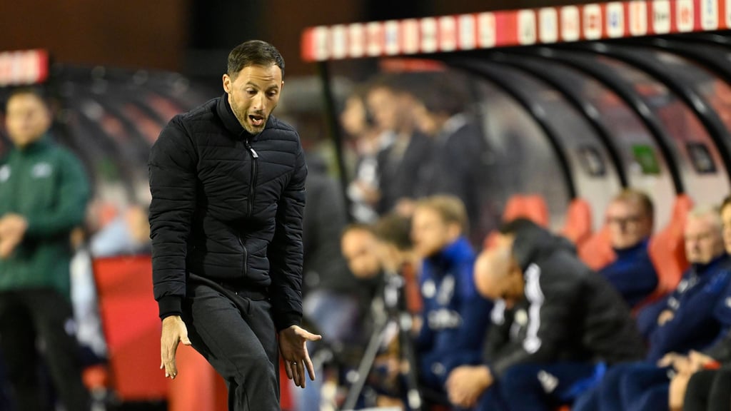 Belgien Nationaltrainer Domenico Tedesco ärgert sich über die nächste Niederlage gegen Frankreich