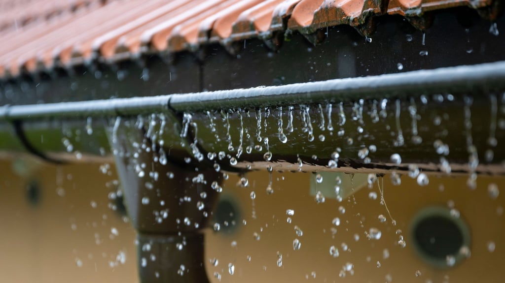 Vermeintliche Handwerker haben eine Seniorin in Wernigerode um viel Geld gebracht.