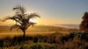 Früh aufstehen empfiehlt sich als Vogelbeobachter: Sonnenaufgang nahe der Stadt George an der Garden Route.