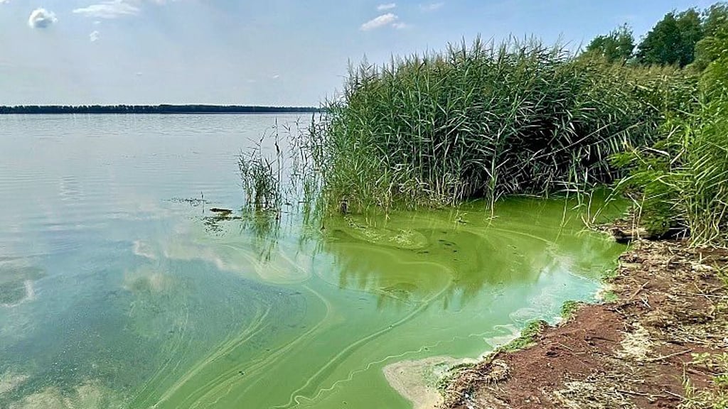 Vor Blaualgen im Stausee wurde im Sommer gewarnt. Jetzt ist die Gefahr vorbei.