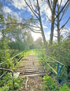 Frei nach Wilhelm Tell: „Über diese hohle Brücke muss er kommen ..." Geht aber seit kurzem nicht mehr, denn inzwischen ist die schadhafte Brücke am Loburger Spazierweg gesperrt.