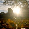 In Sachsen-Anhalt kommt der goldene Herbst im Oktober zurück.