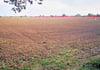 Auf dem Acker hinter der Maxim-Gorki-Straße in Köthen, nahe dem Wasserwerk Süd der Midewa, ist der Solarpark geplant. Er wird von der Bahnstrecke (re. hinten) begrenzt. 