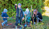 Es ist Erntezeit im Kita-Garten der Spielmäuse Spora. Niklas Küster hält stolz eine Möhre hoch, die die Kinder gemeinsam ausgegraben haben. 