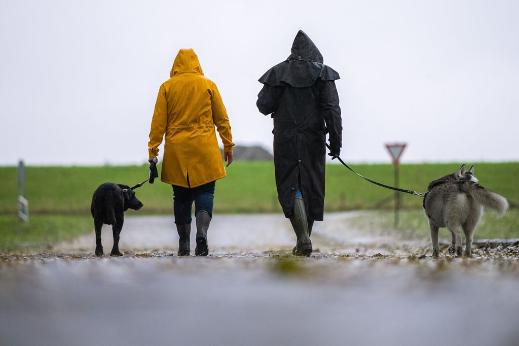 Sparziergänger mit Hund sollten im Landkreis Cloppenburg besonders aufpassen, rät die Polizei. (Symbolbild)