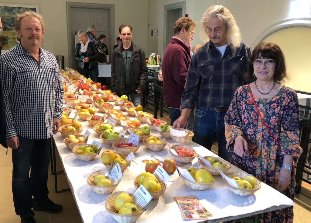 Sabine Maurer, Uwe Zeigermann und Klaus Schubert (v.r.) vom Regionalverband der Gartenfreunde Weißenfels präsentieren alte Apfelsorten bei der Obstausstellung im Weißenfelser Rathaus.