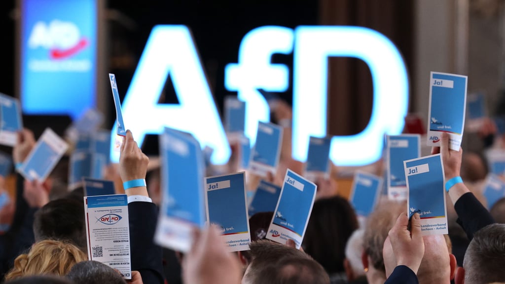 Der AfD-Parteitag in Magdeburg wählte Phillipp-Anders Rau auf Platz drei der Landesliste zur Bundestagswahl 2025.