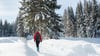 Auf dem Seefelder Hochplateau geht es für Wanderer auf fünf Etappen durch die verschneite Tiroler Landschaft.