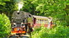 Mit dem Selketaltalpass können Urlauber gratis mit den Harzer Schmalspurbahnen fahren.