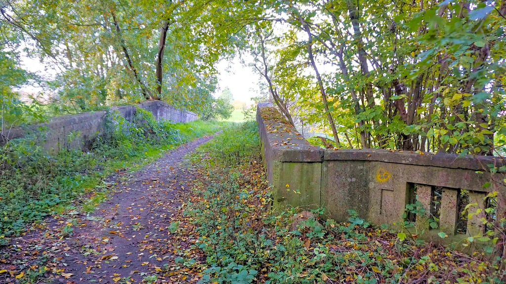 Die Raßnitzer wollen die alte Eisenbetonbrücke über den Altarm der Weißen Elster erhalten.