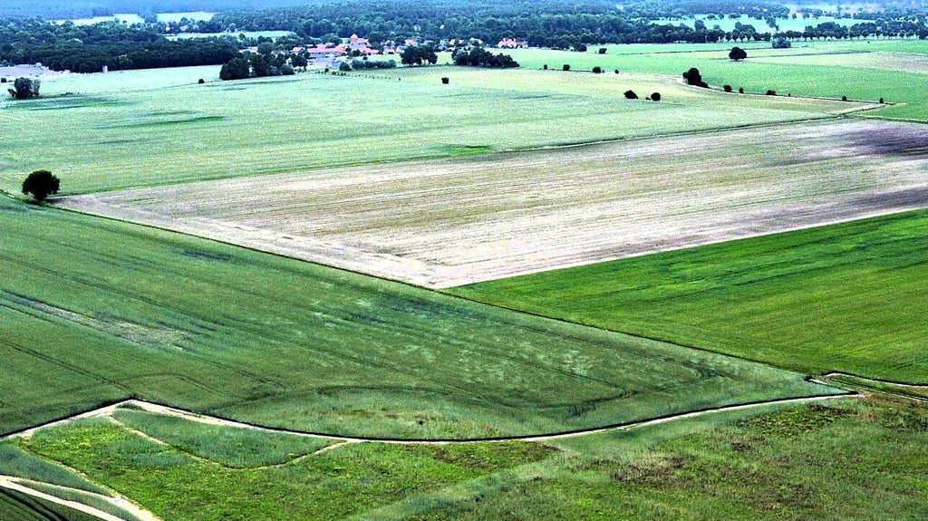 Auf diesem Gelände nahe Zedau (im Hintergrund) soll ein 23 Hektar großes Industriegebiet entstehen.