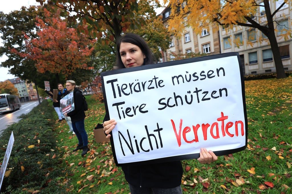Zwei amtliche Tierärztinnen sollen den Schlachthof Aschaffenburg vor unangekündigten Kontrollen gewarnt haben.