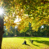 Das Wetter in Sachsen-Anhalt im Oktober wird wechselhaft.